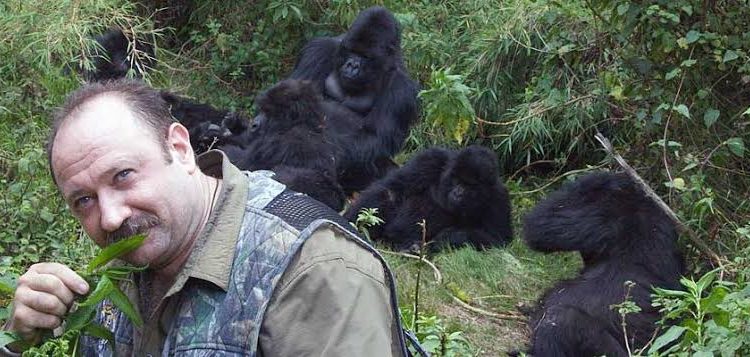 Gorilla habituation experience in Bwindi