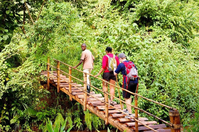Things to do in Ruhija sector after gorilla trekking